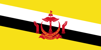 Brunei logo