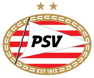 PSV logo
